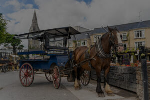 Killarney Jaunting Car Tour