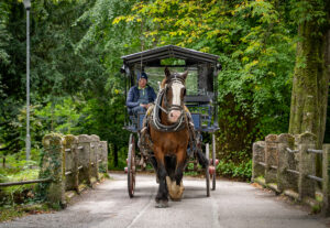 Enjoy the sights of Killarney National Park from the traditional Jaunting Car. Operating all year-round, the Killarney Jaunting car trip is a "must" for every one visiting Killarney.