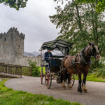 Enjoy the sights of Killarney National Park from the traditional Jaunting Car. Operating all year-round, the Killarney Jaunting car trip is a "must" for every one visiting Killarney.