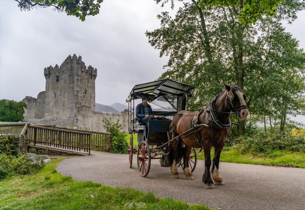 Horse-drawn carriage near a castle in Killarney, surrounded by trees and scenic landscape.