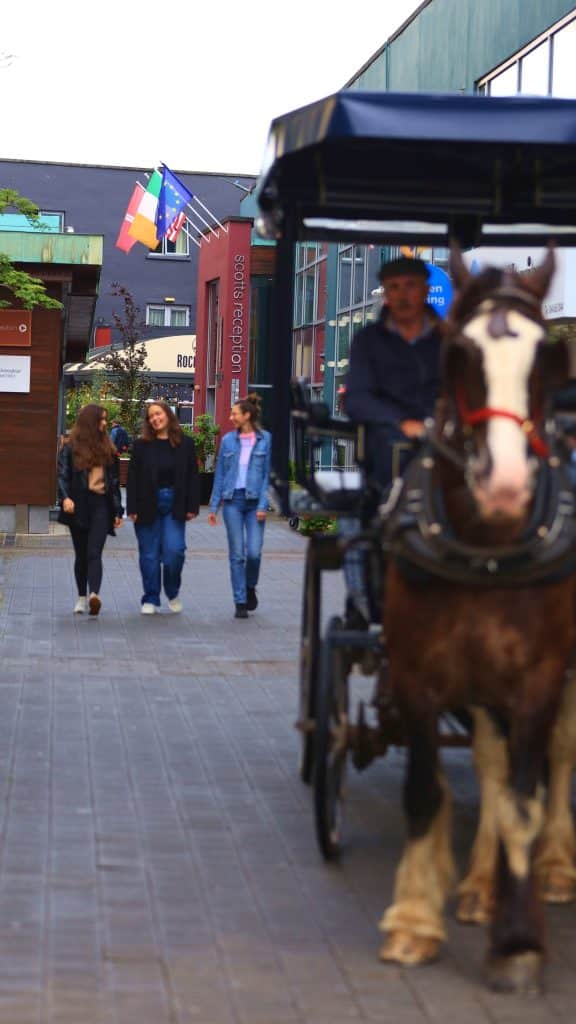 A horse-drawn carriage and three women walk near a reception area in Killarney town centre.