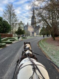 Jaunting Car, Killarney National Park, Co Kerry